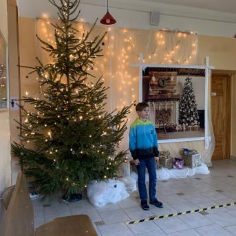 Ziemassvētkus gaidot - 