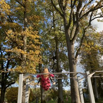 Sports, māksla un dzeja - 