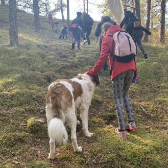 Saulkrastu pārgājiens - 