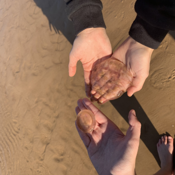 Saulkrastu pārgājiens - 