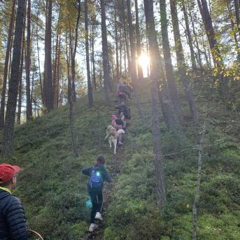 Saulkrastu pārgājiens - 