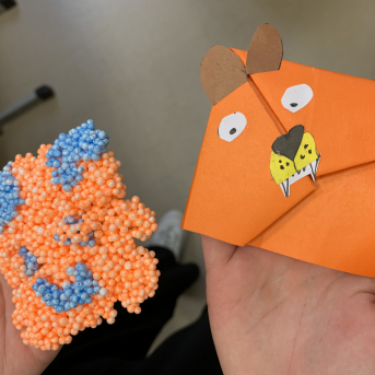 Projekts Tīģerdraugi - 