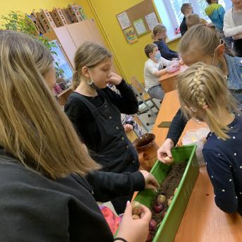 Projekts Tīģerdraugi - 