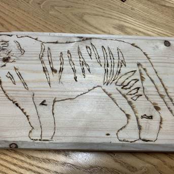 Projekts Tīģerdraugi - 