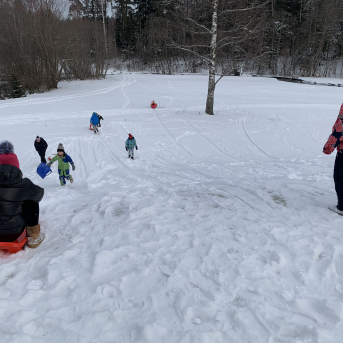 Projekts Tīģerdraugi - 