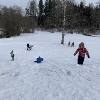 Projekts Tīģerdraugi - 