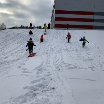 Projekts Tīģerdraugi - 