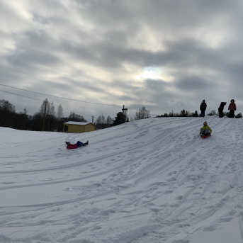 Projekts Tīģerdraugi - 