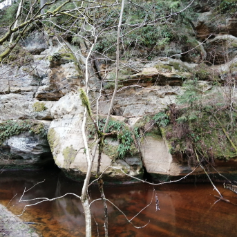 Pārgājiens Klinšupītes krastos - 