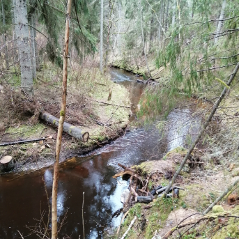 Pārgājiens Klinšupītes krastos - 