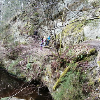 Pārgājiens Klinšupītes krastos - 