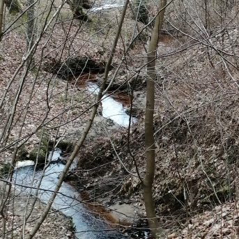 Pārgājiens Velnala-Skola - 