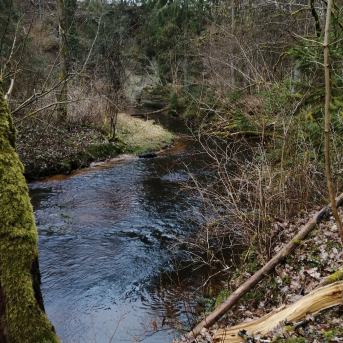 Pārgājiens Klinšupītes krastos - 