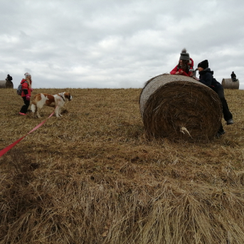 Pārgājiens Velnala-Skola - 