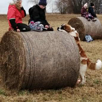 Pārgājiens Velnala-Skola - 