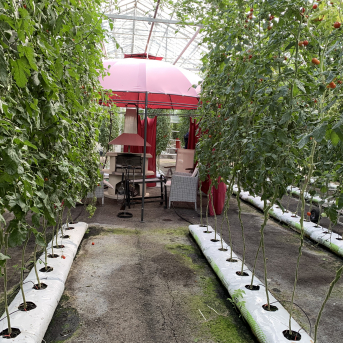 Mazpulku skolotājas mācās - 