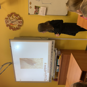 Projekts Tīģerdraugi - 