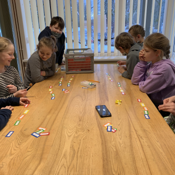 Projekts Tīģerdraugi - 