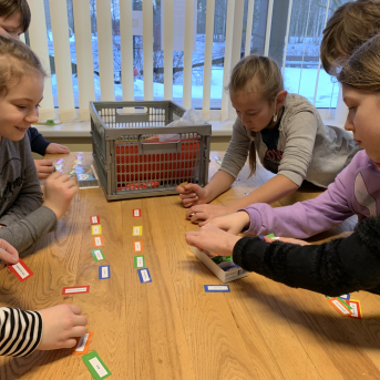 Projekts Tīģerdraugi - 