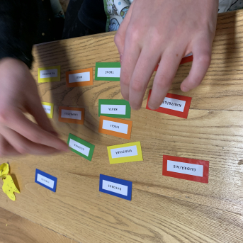 Projekts Tīģerdraugi - 