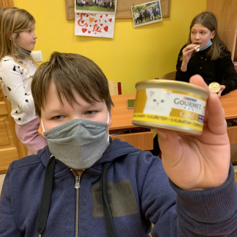 Projekts Tīģerdraugi - 