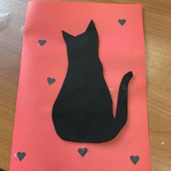 Projekts Tīģerdraugi - 