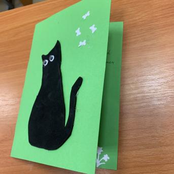 Projekts Tīģerdraugi - 