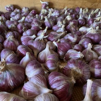 Mazpulku skolotājas mācās - 