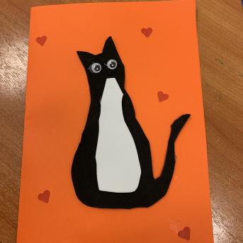 Projekts Tīģerdraugi - 