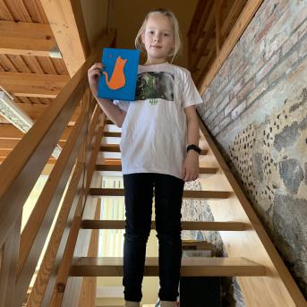 Projekts Tīģerdraugi - 