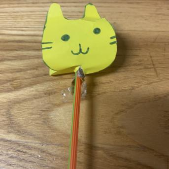 Projekts Tīģerdraugi - 