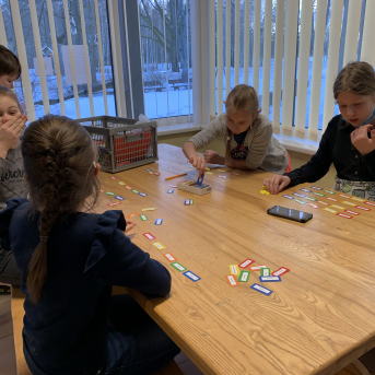 Projekts Tīģerdraugi - 