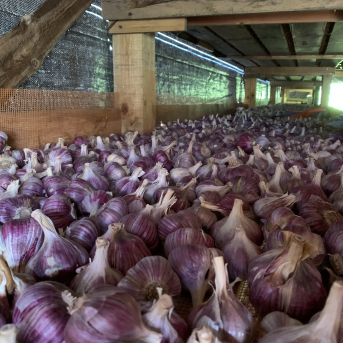 Mazpulku skolotājas mācās - 