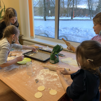 Projekts Tīģerdraugi - 