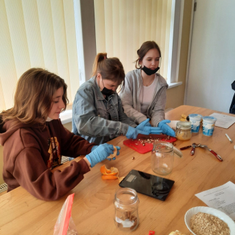 Veselīga uztura meistarklases - 