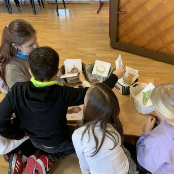 Veselīga uztura stunda 4.klasei - 