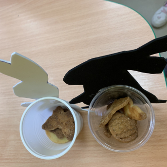 Gatavojamies Lieldienām - 