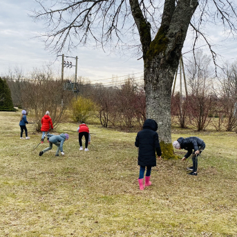 Labo darbu mēnesis Saulkrastu novadā - Lielā talka Sējas skolā - 