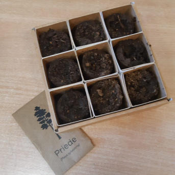 Cūkmens viesojas Sējas pamatskolā - 