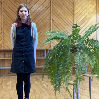 Pavasara dzejoļu konkurss - 