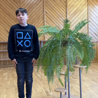 Pavasara dzejoļu konkurss - 