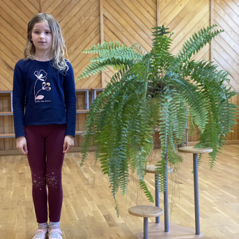 Pavasara dzejoļu konkurss - 