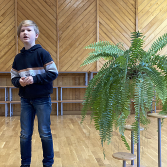 Pavasara dzejoļu konkurss - 