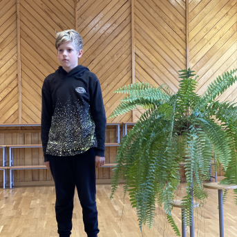 Pavasara dzejoļu konkurss - 