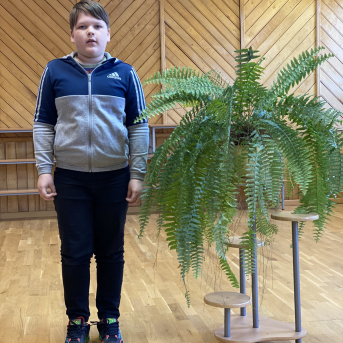 Pavasara dzejoļu konkurss - 