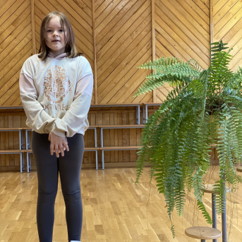 Pavasara dzejoļu konkurss - 