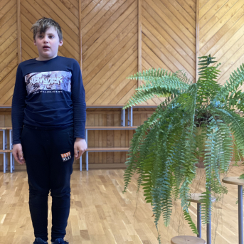 Pavasara dzejoļu konkurss - 