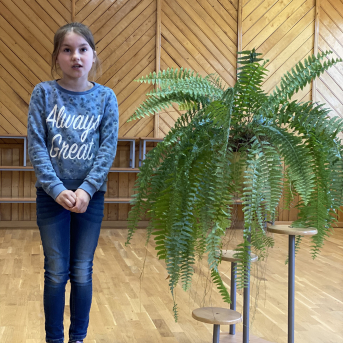 Pavasara dzejoļu konkurss - 