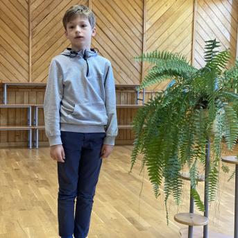 Pavasara dzejoļu konkurss - 