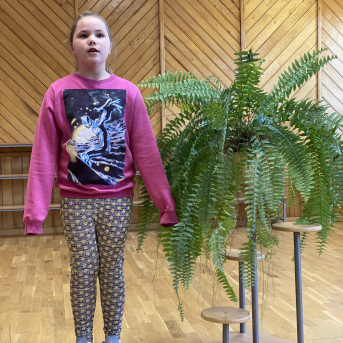 Pavasara dzejoļu konkurss - 